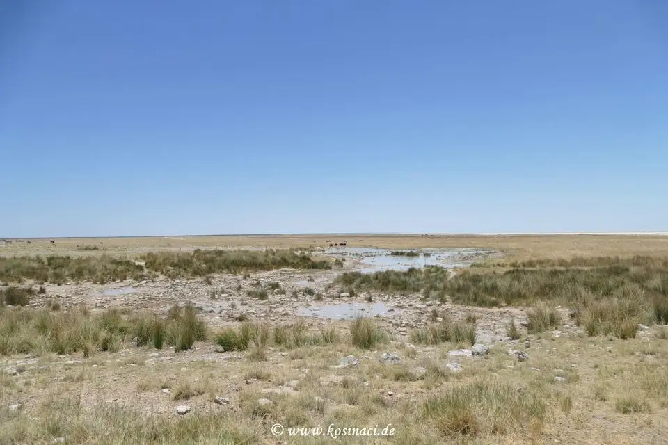 Na21_7695.JPG