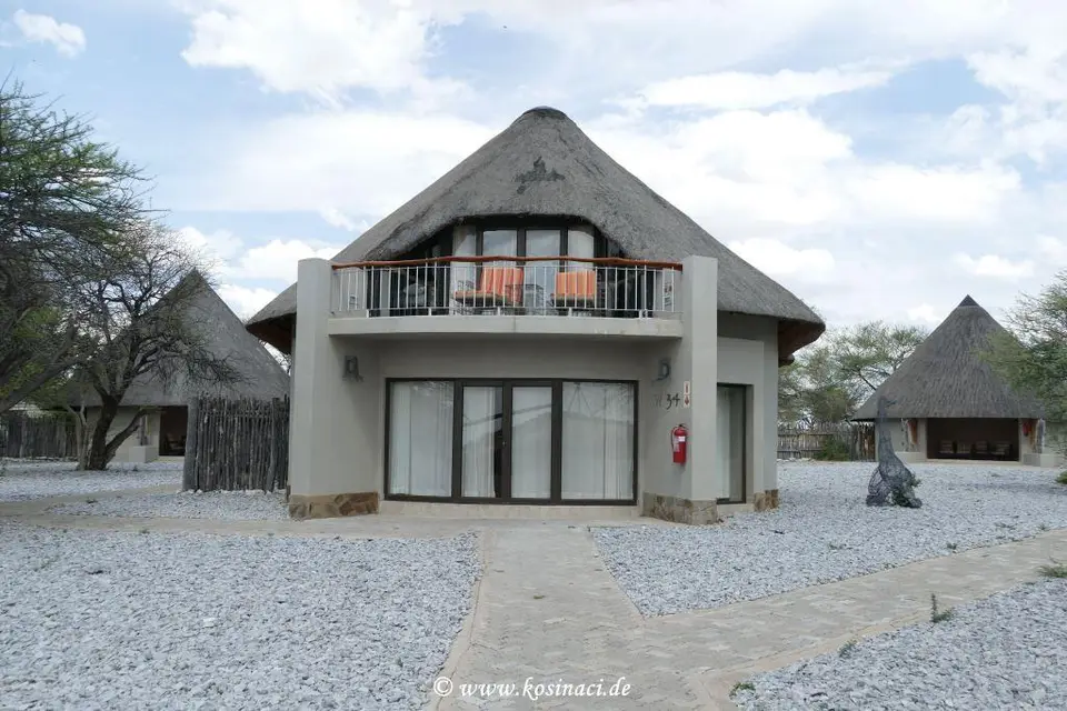 Na21_8292.JPG