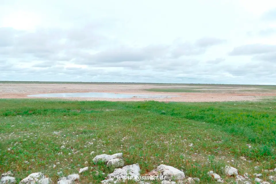 Na22_0280.JPG