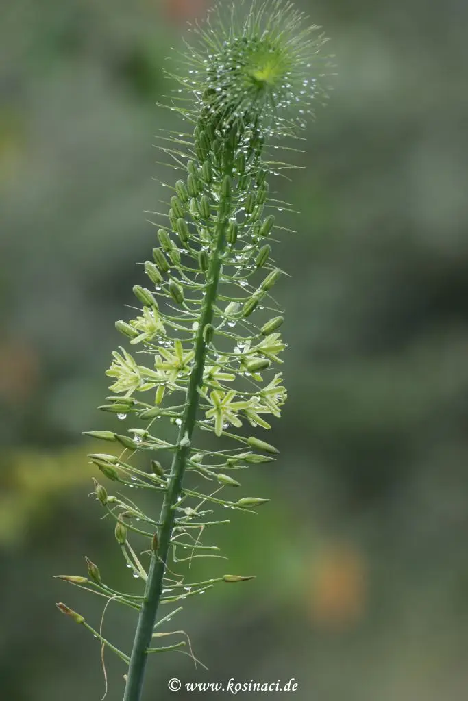 Na22_0922.JPG