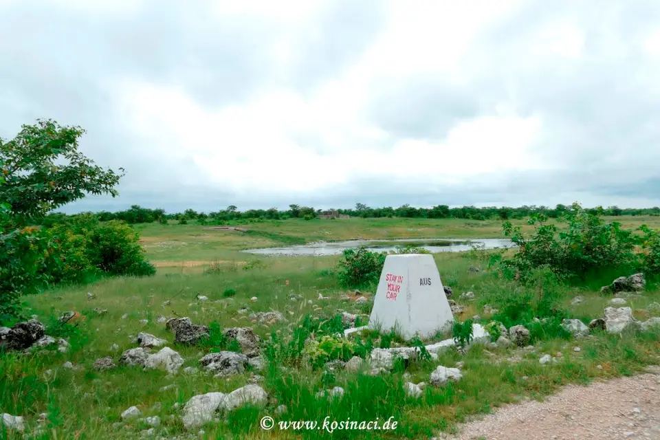Na22_0943.JPG