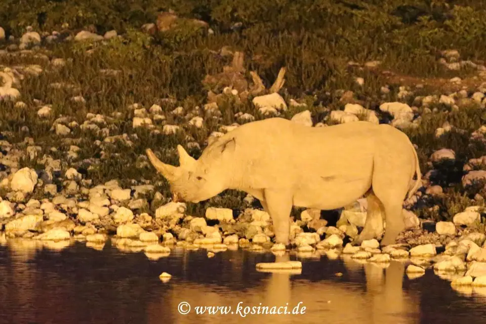 Na22_4359.JPG