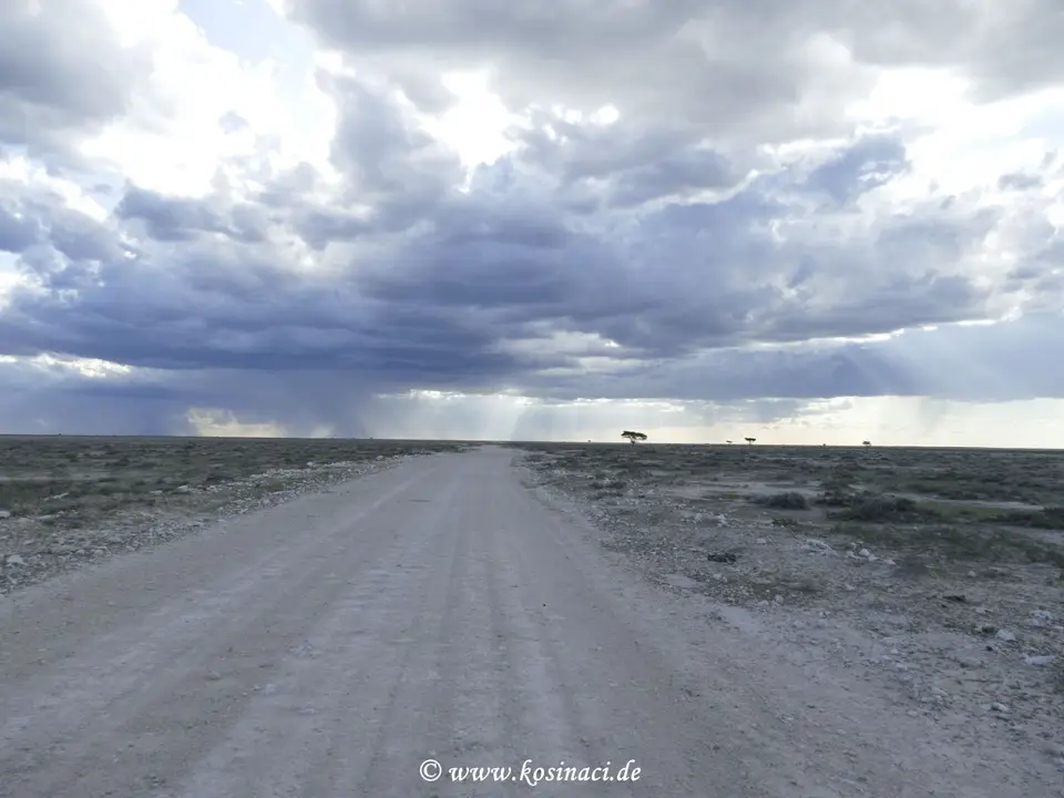 Na22_5249.JPG