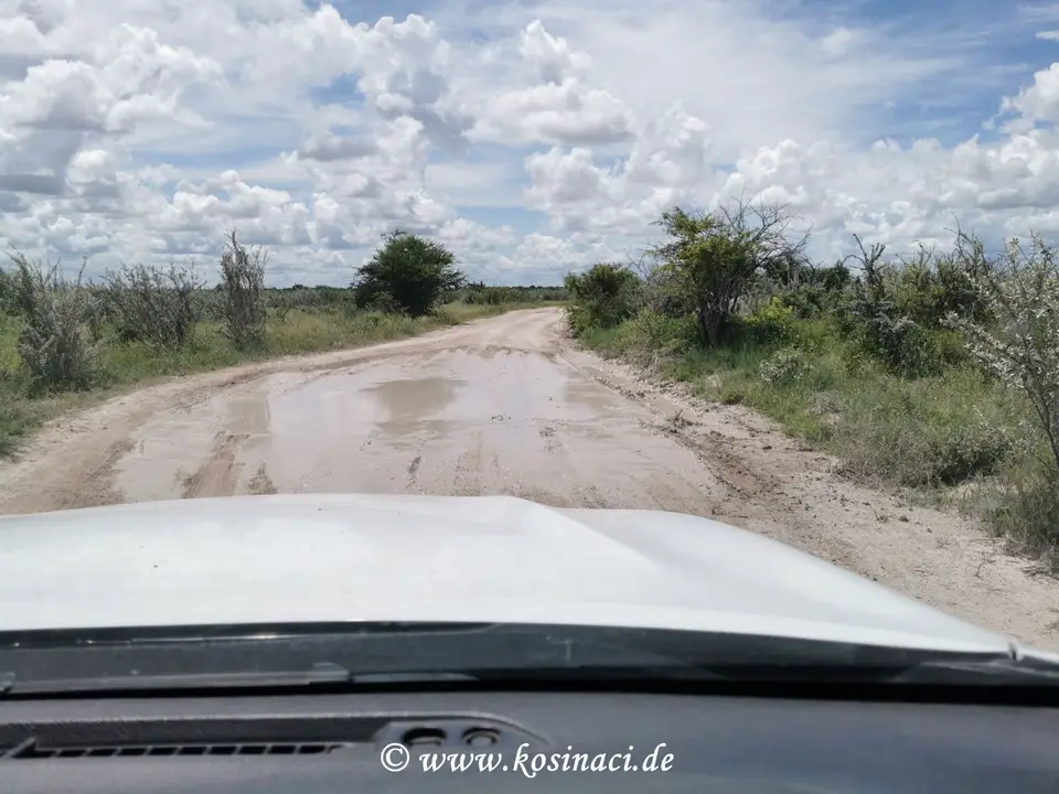 Na22_8273.jpg