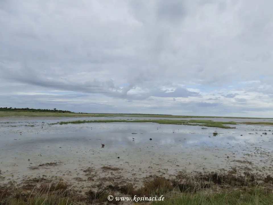 Na22_9162.JPG