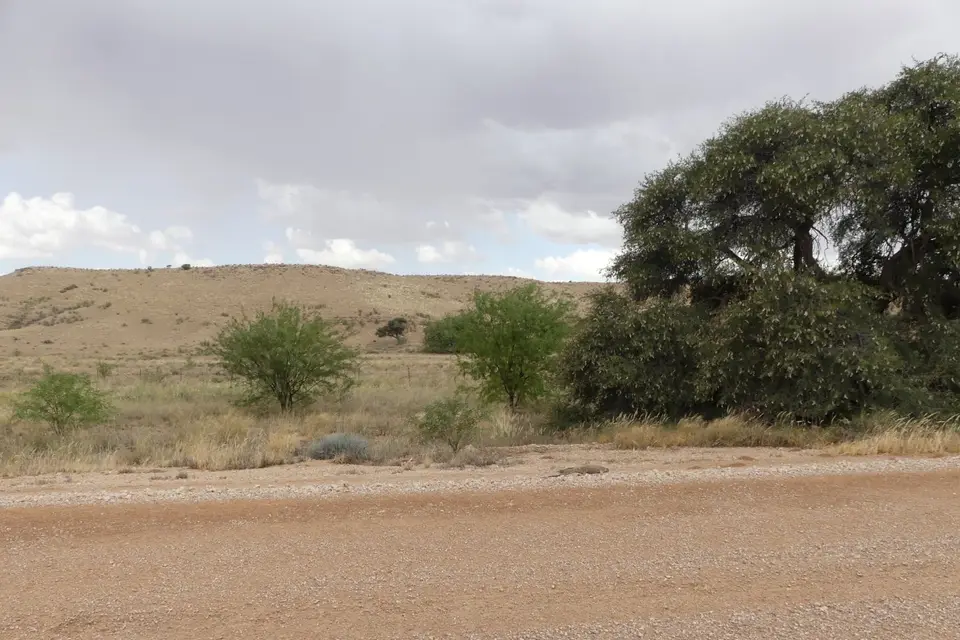 Na23_0098.JPG