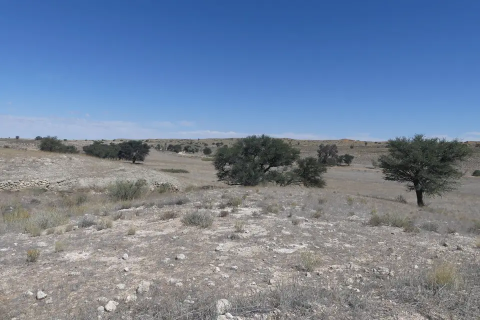 Na23_0474.JPG