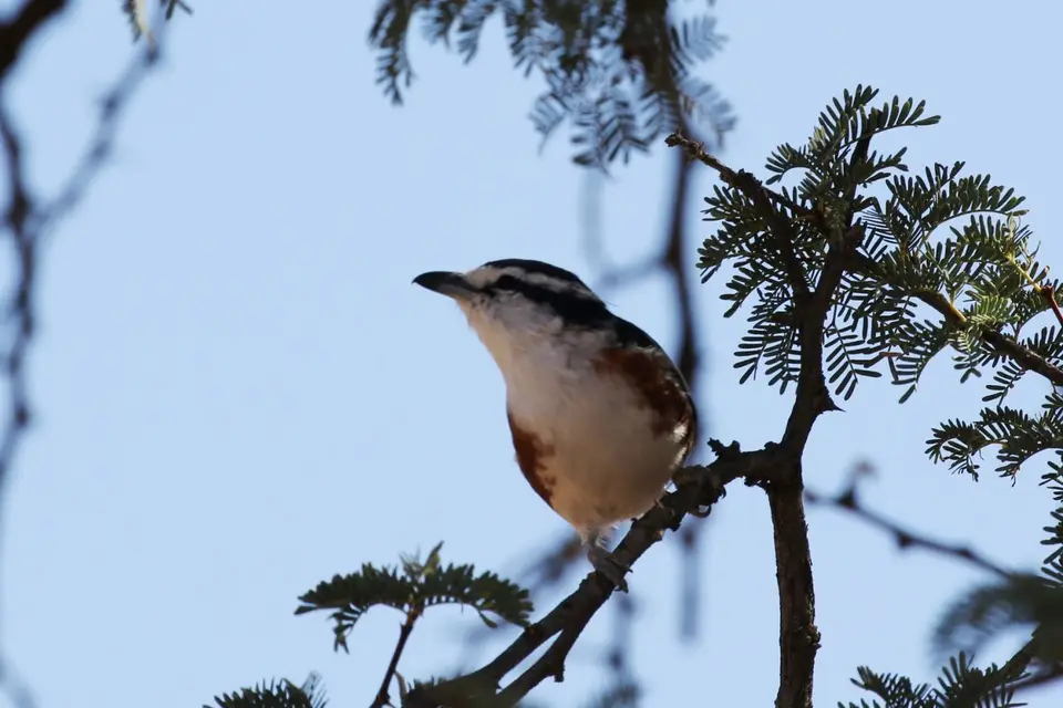 Na23_3724.JPG