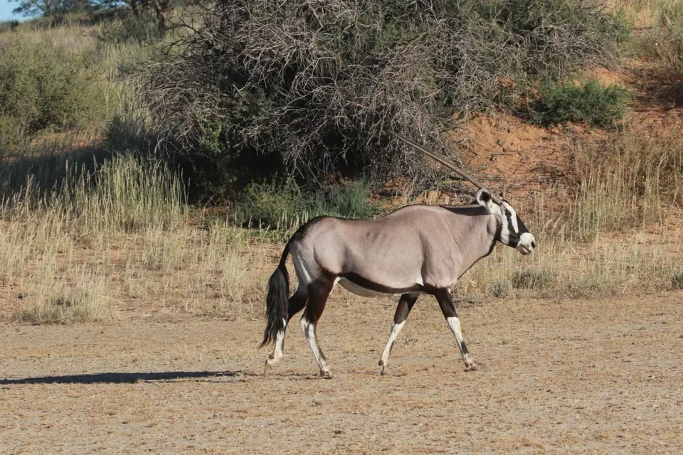Na24_0082.JPG