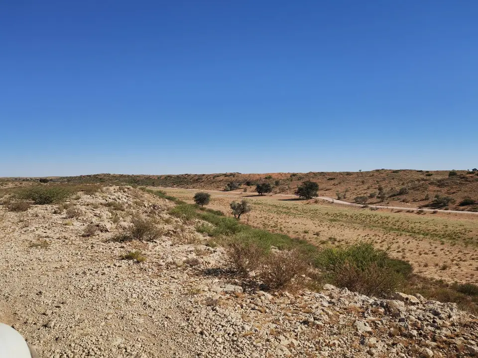Na24_0186a.jpg