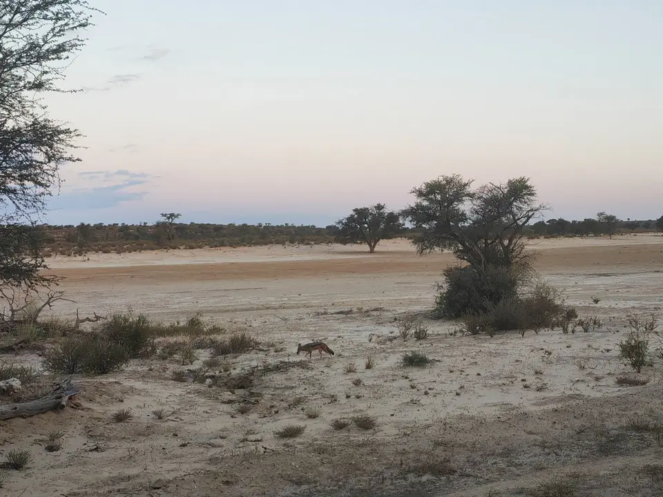 Na24_0251.jpg