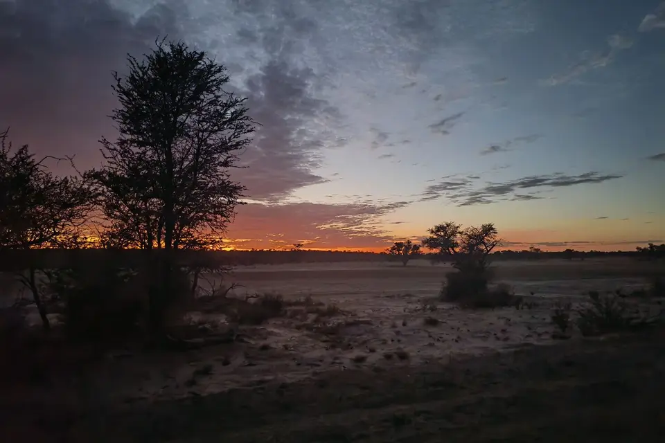 Na24_0330.jpg