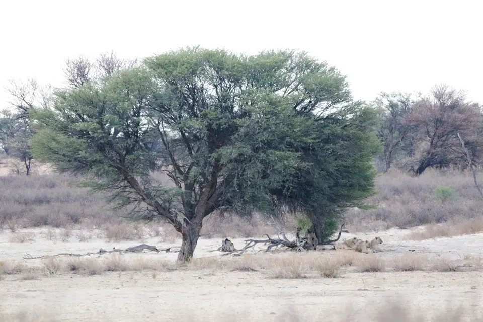 Na24_0384.JPG