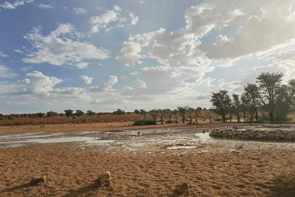 Na24_0388.jpg