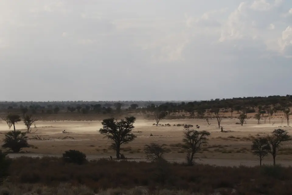 Na24_0392.JPG