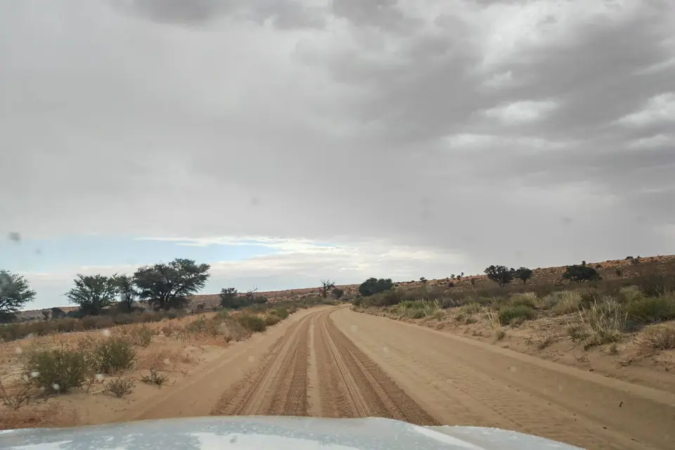 Na24_0439.jpg