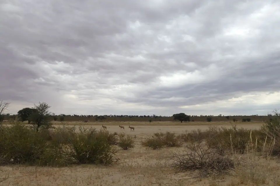 Na24_0459.JPG