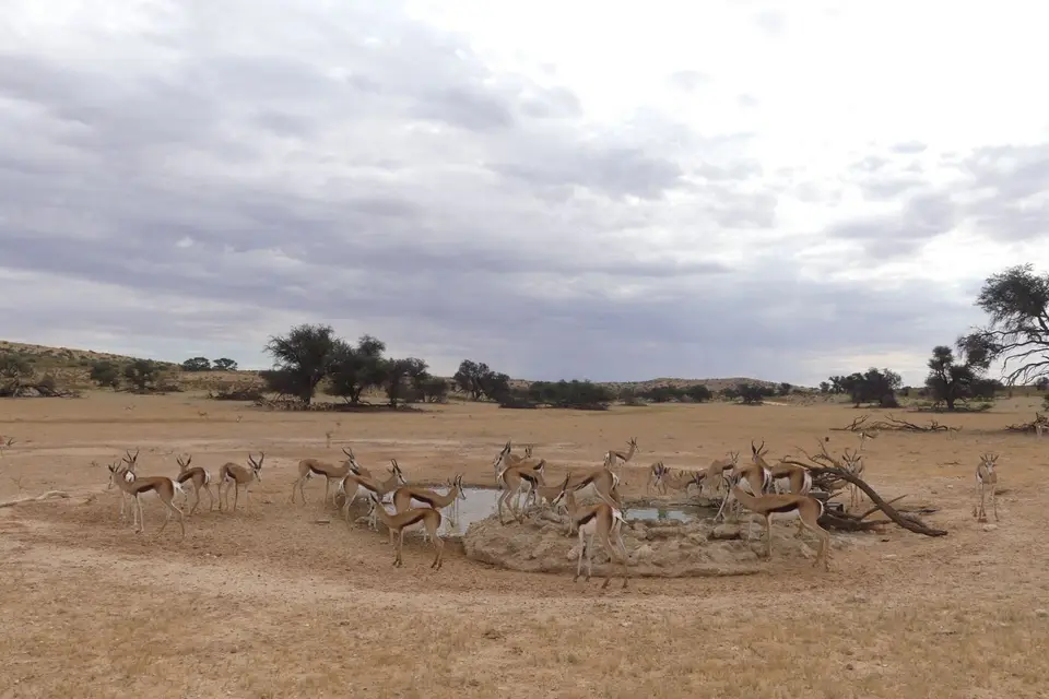 Na24_0504.JPG