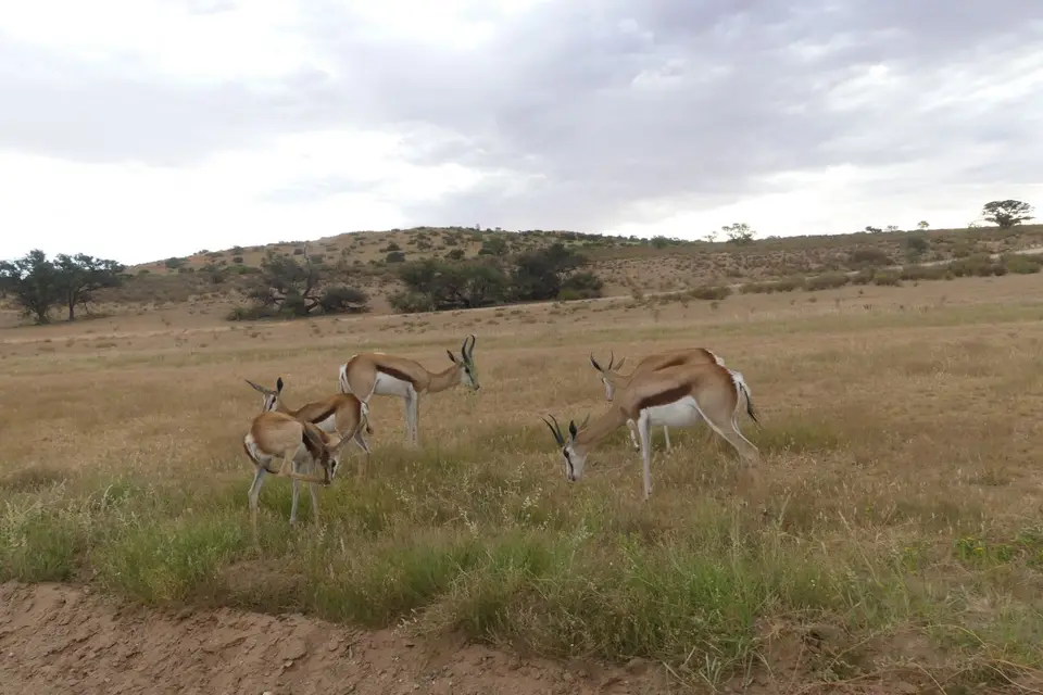 Na24_0511.JPG