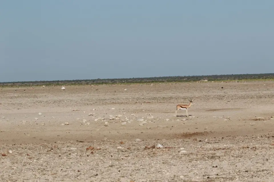 Na24_0602.JPG