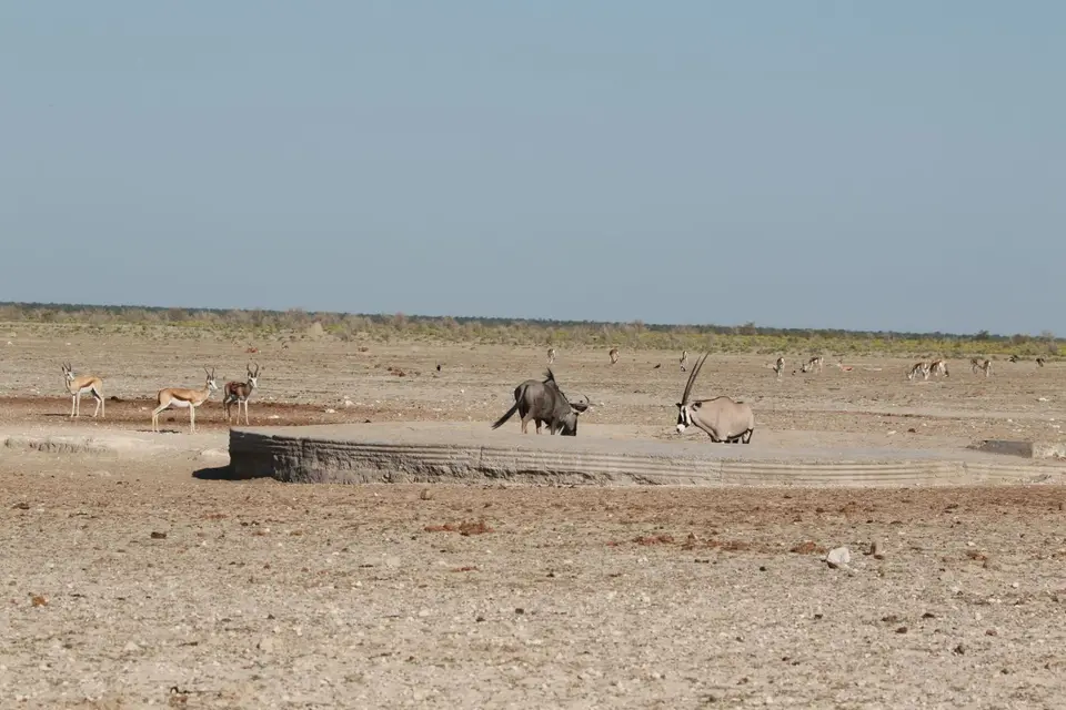 Na24_0604.JPG