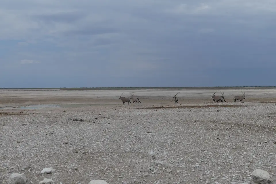 Na24_0695.JPG