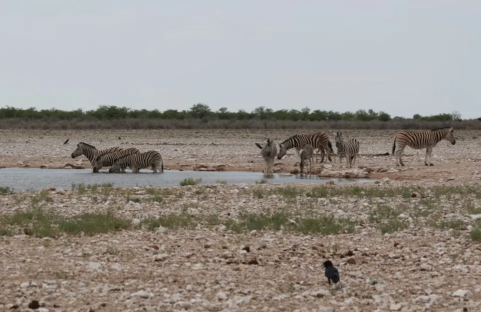 Na24_0725.JPG