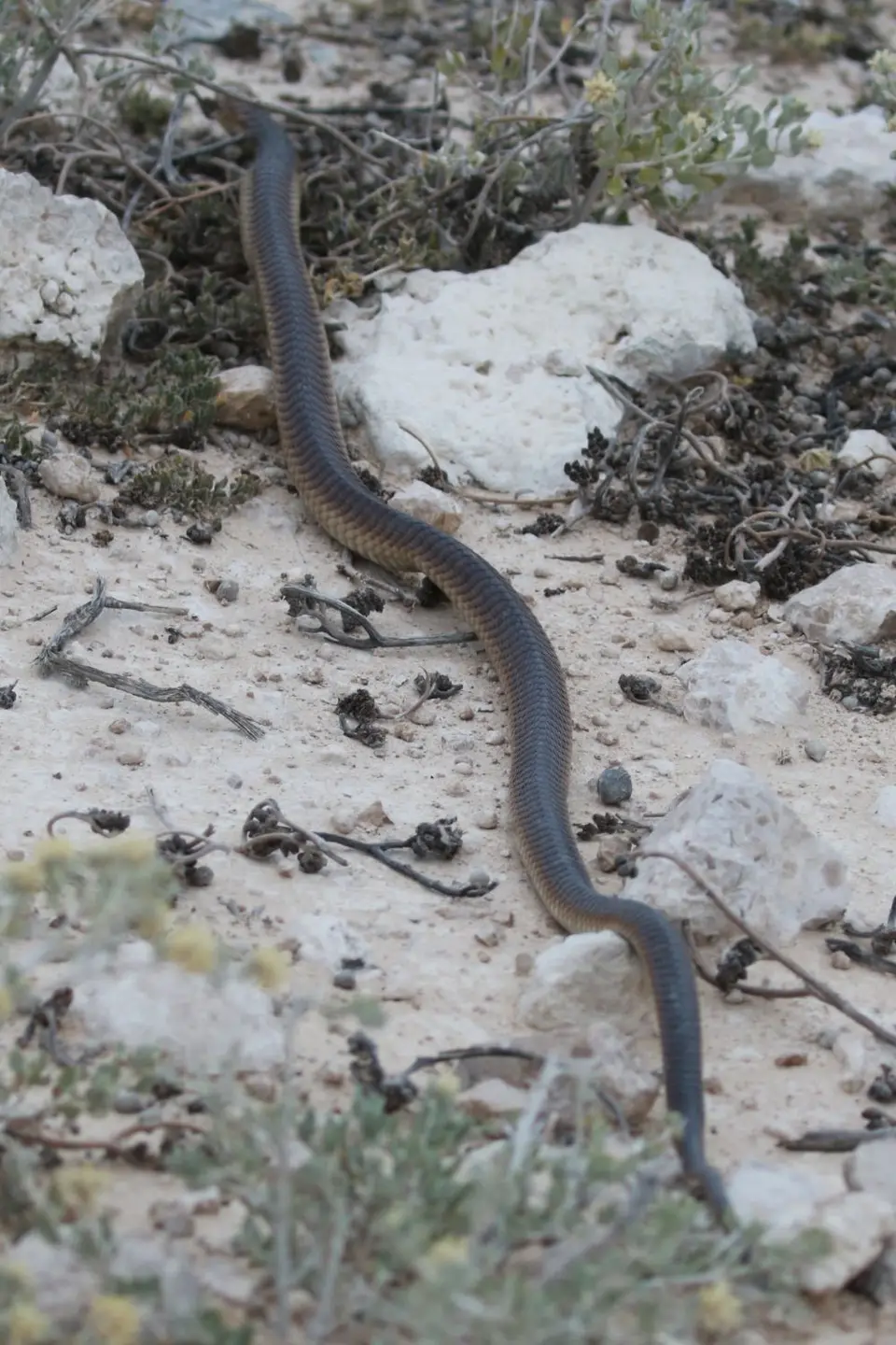 Na24_0755.JPG