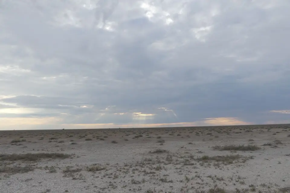 Na24_0763.JPG