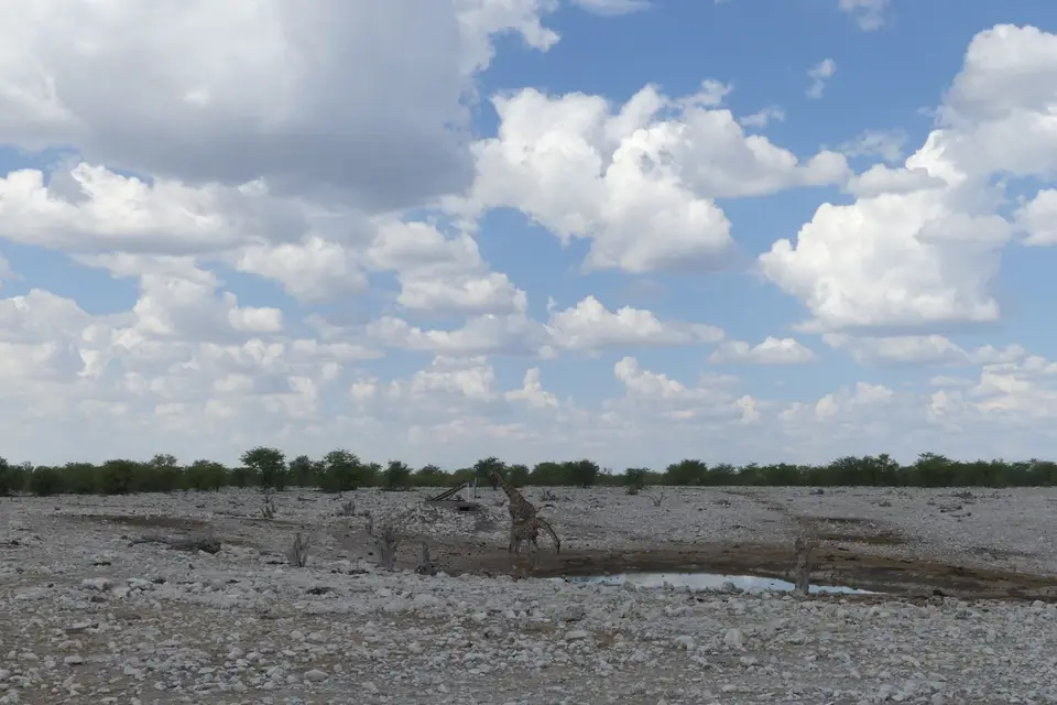 Na24_0792.JPG