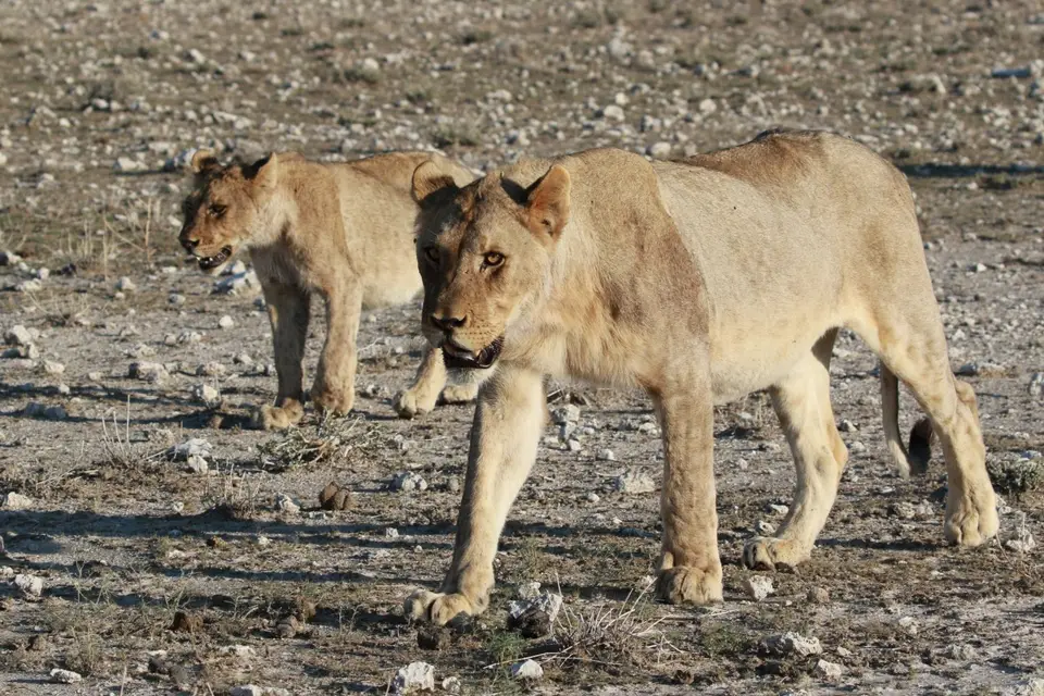 Na24_0806.JPG