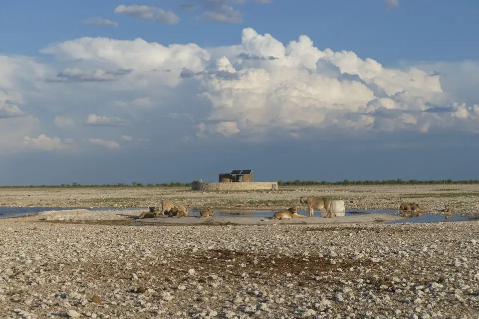 Na24_0825.JPG