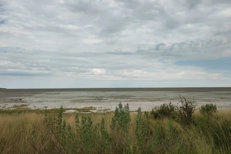 Na24_0913.jpg