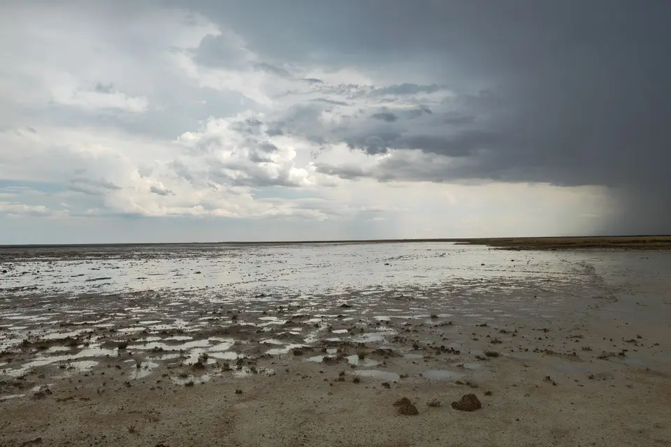Na24_0954.jpg