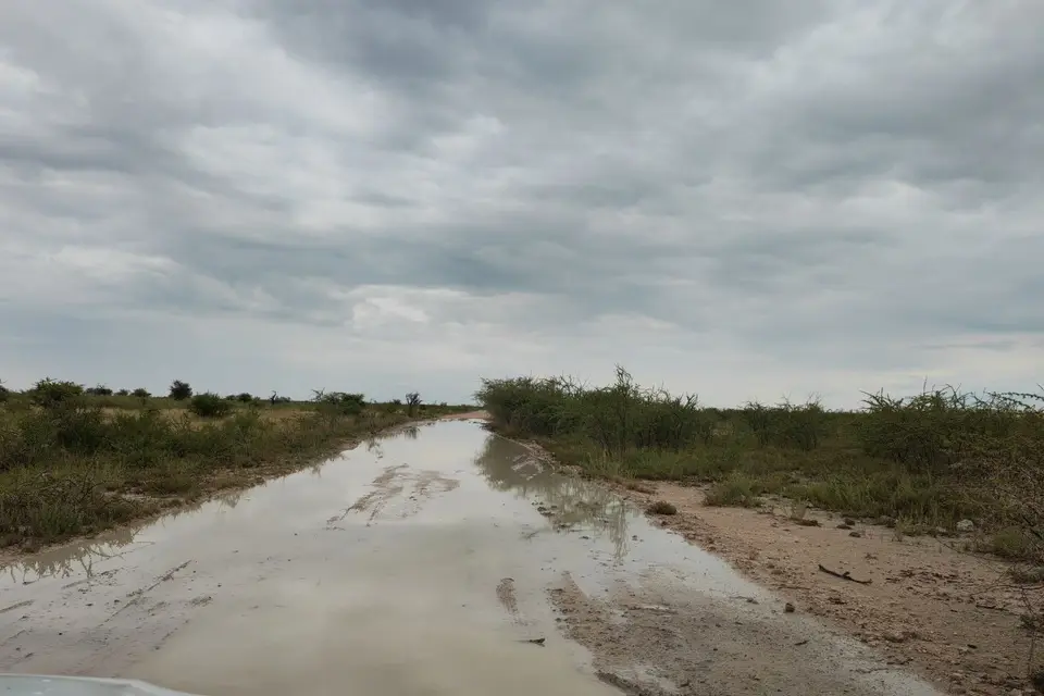 Na24_0978.jpg