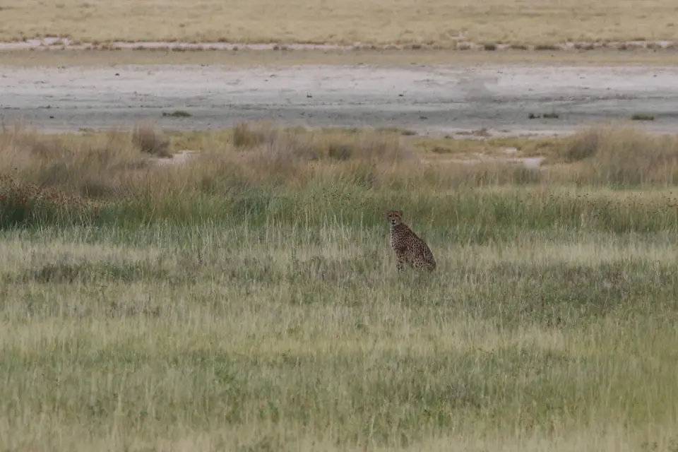 Na24_0985.JPG