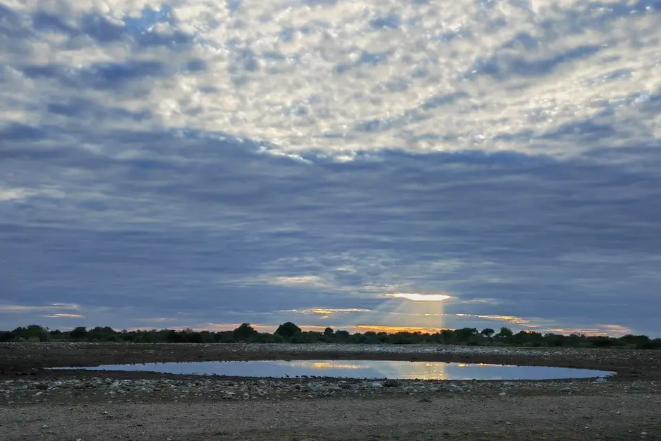 Na24a_1038.jpg