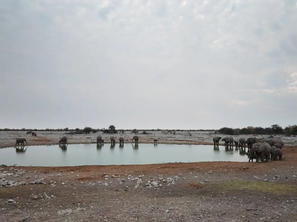 Na24b_0225.jpg