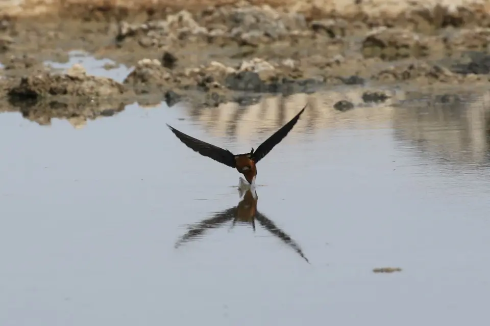 Na24b_3134.JPG