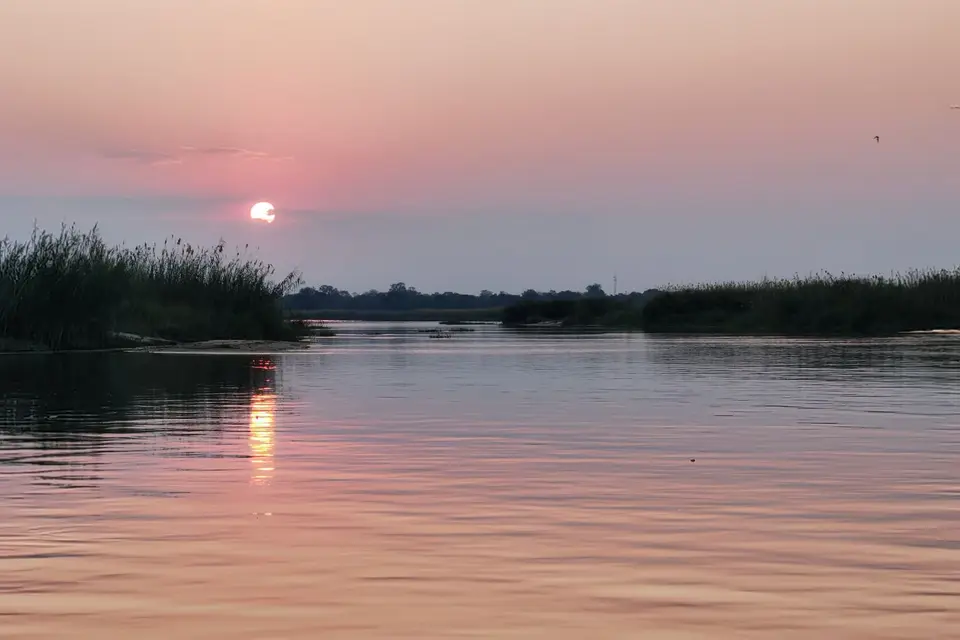 Na24b_4855.jpg