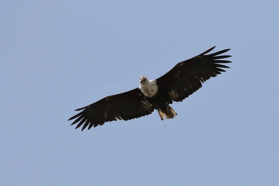 Na24b_5019.JPG