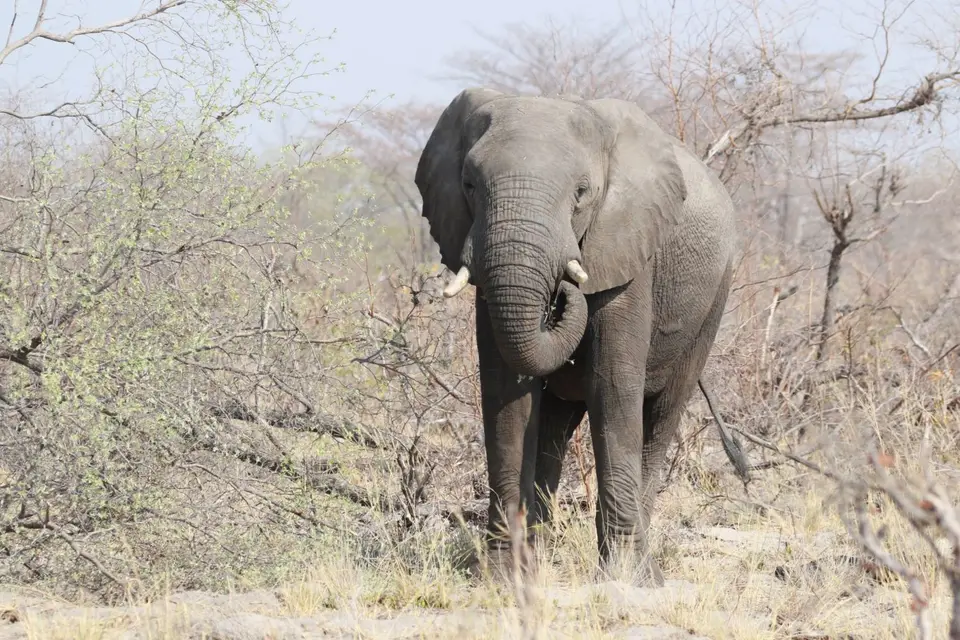 Na24b_5311.JPG