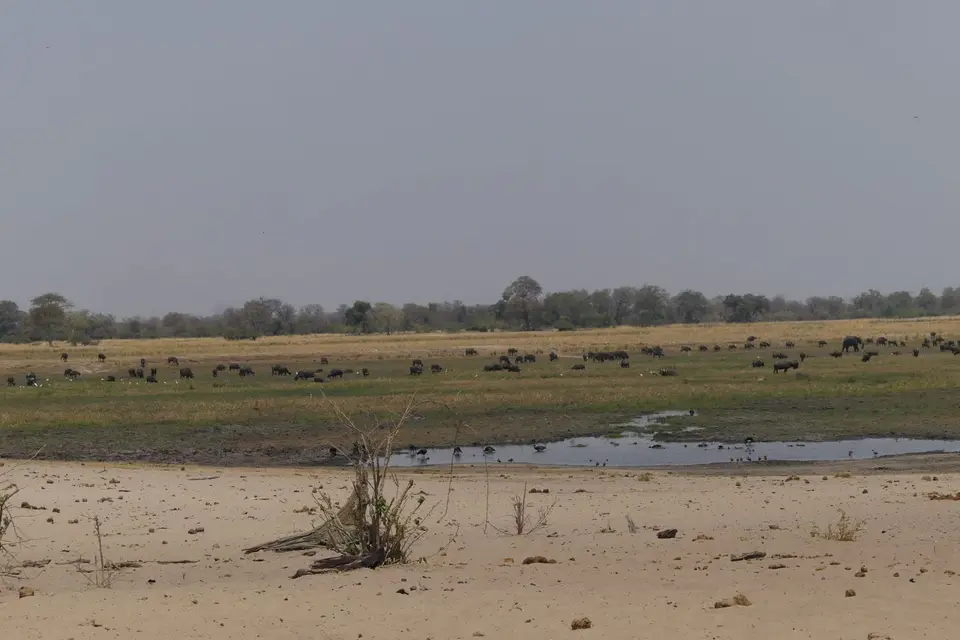 Na24b_6458.JPG