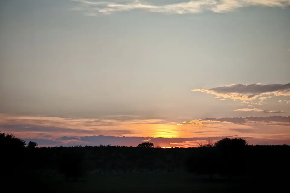 Na25a_3447.jpg