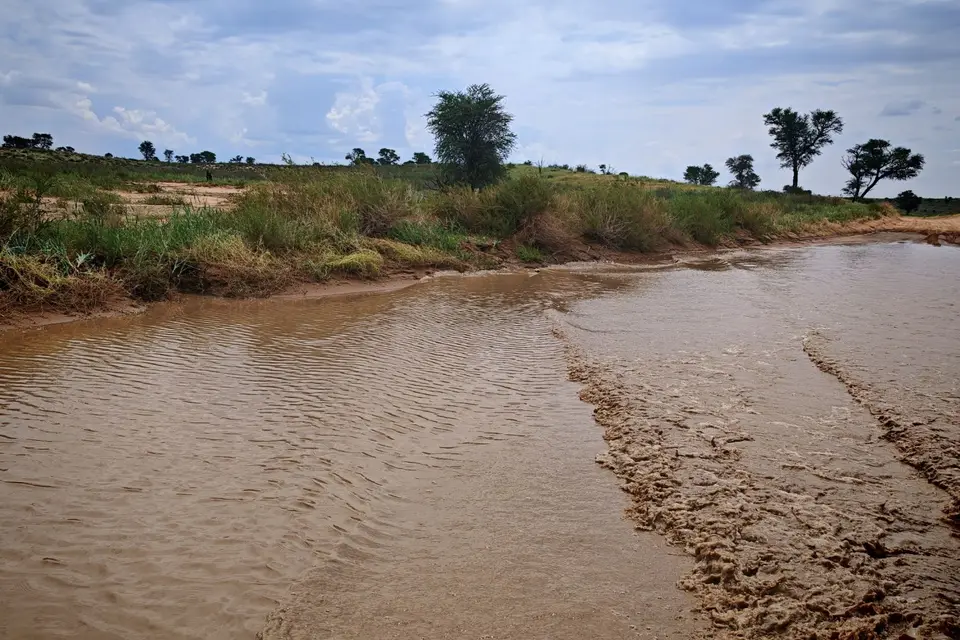 Na25a_4315.jpg