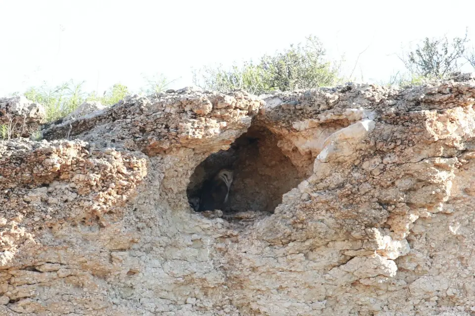 Na25a_5284.JPG