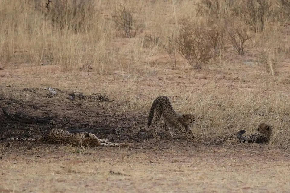 Na25b_4102.JPG