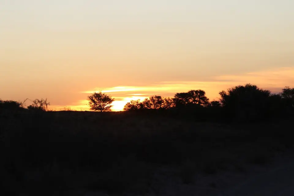 Na25b_6661.JPG