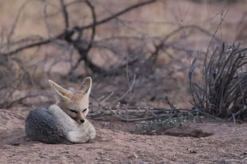 Na25b_6678.JPG