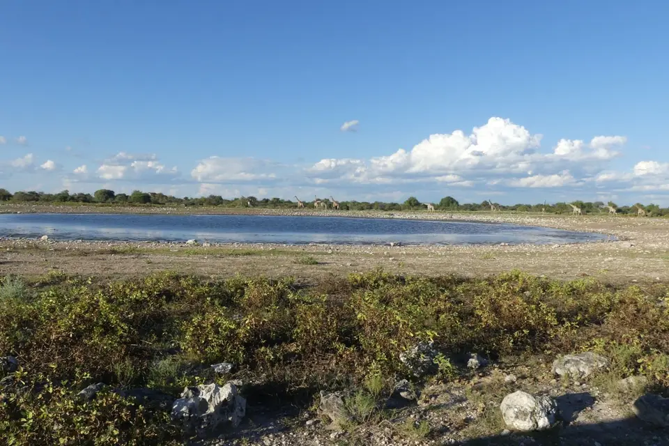 Na26a_0334.JPG